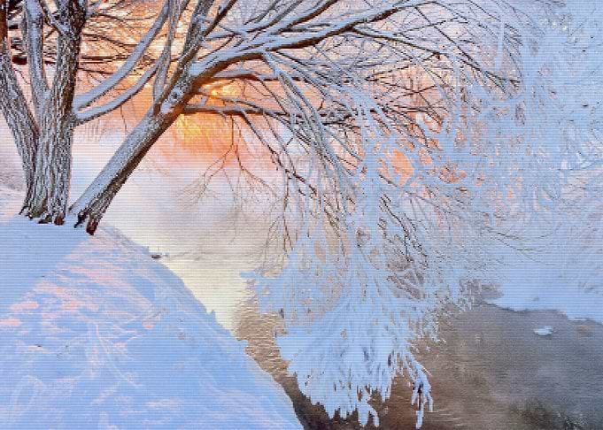 Frozen