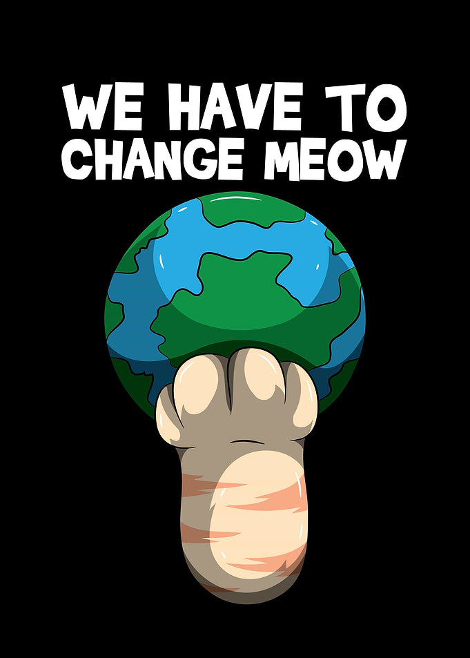 We Have To Change Meow S