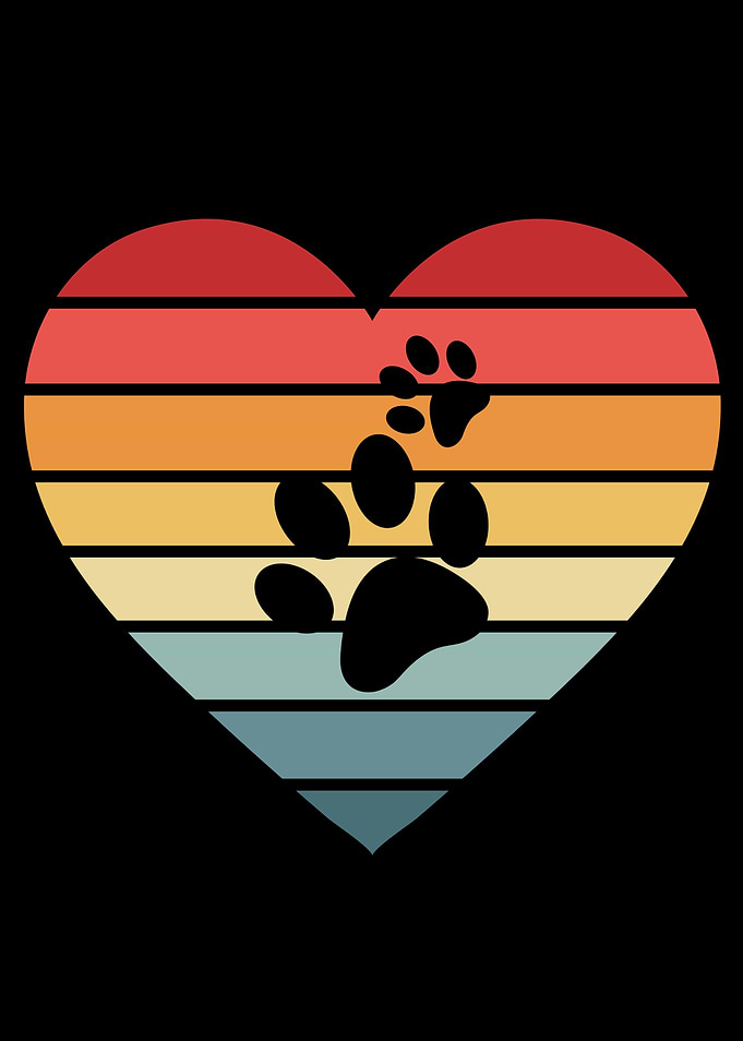 Dogs Dog Owners Dog Paw