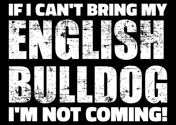 English Bulldog