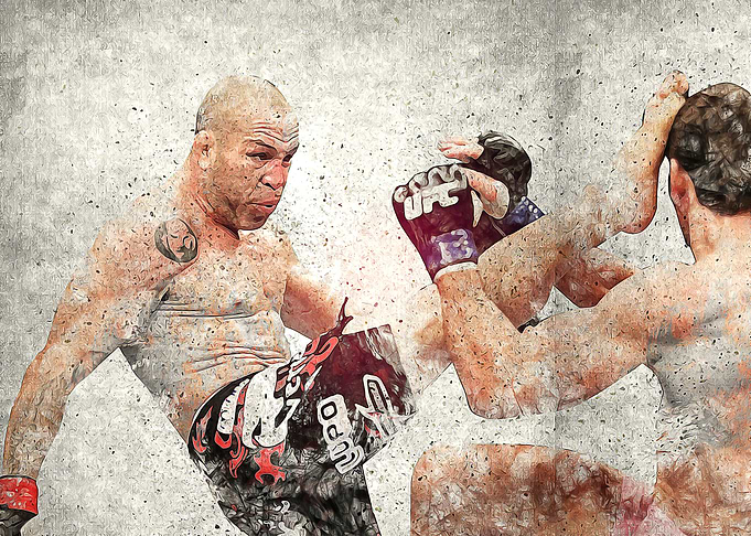wanderlei silva vs brian