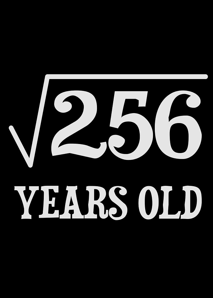 Mathematics 16th Birthday