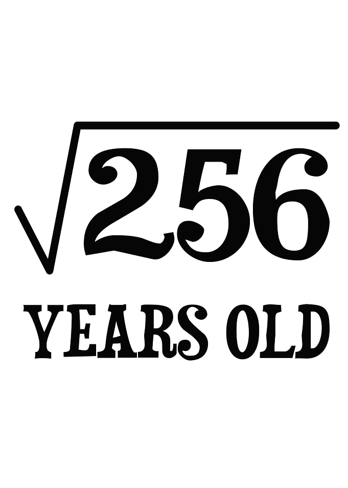 Mathematics 16th Birthday