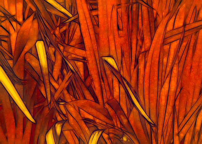 Reeds Burnt Orange
