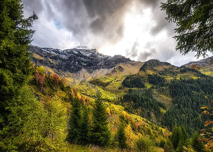 Nature