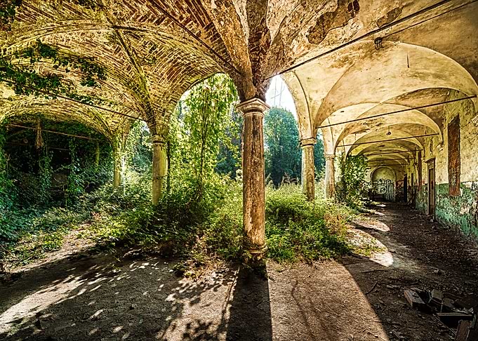 Jardin d hiver