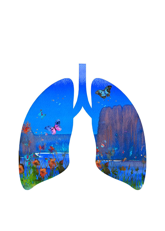 Lungs with flowers