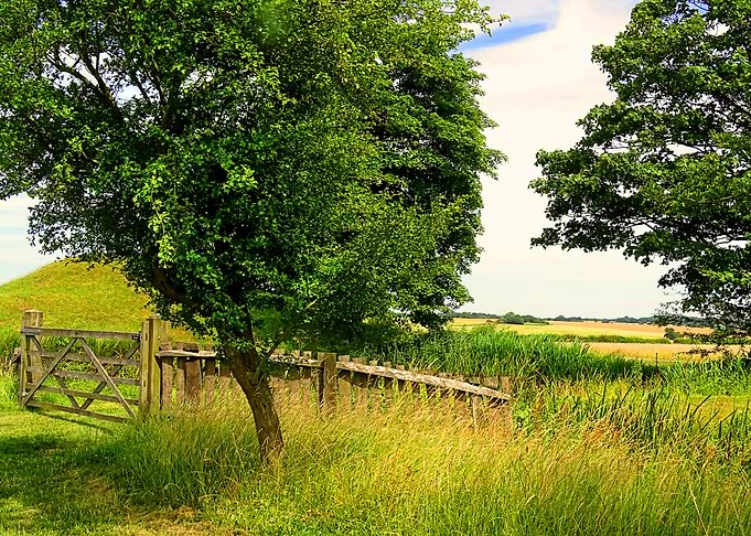 Nature