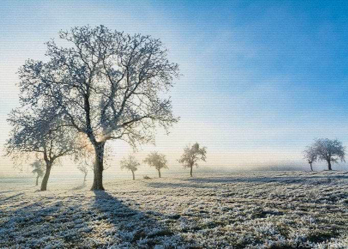 Frozen