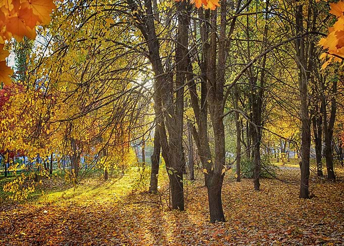 Nature