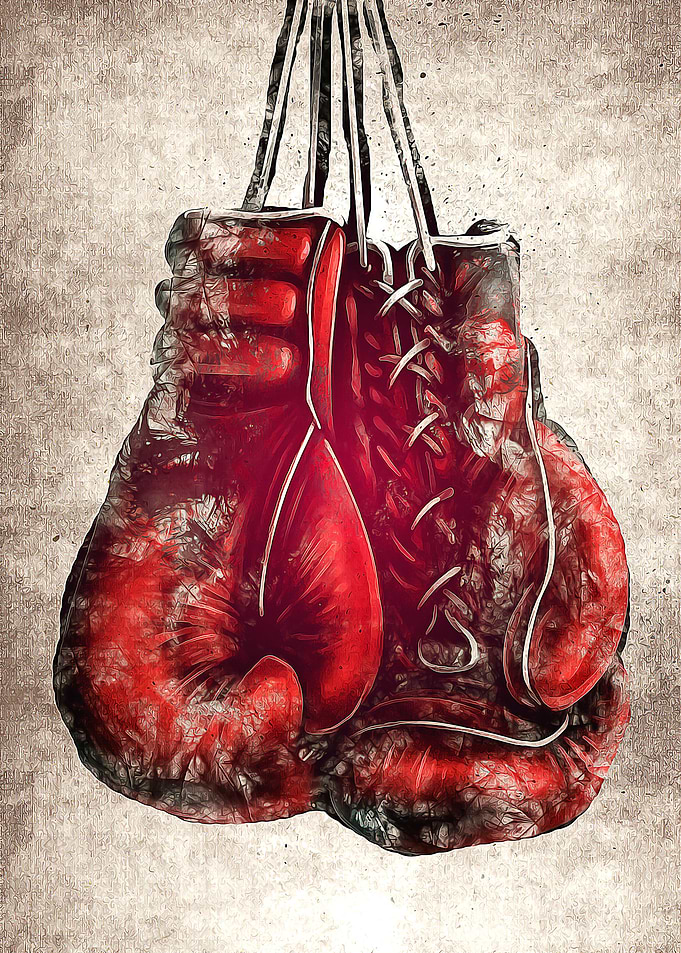 Boxing Gloves
