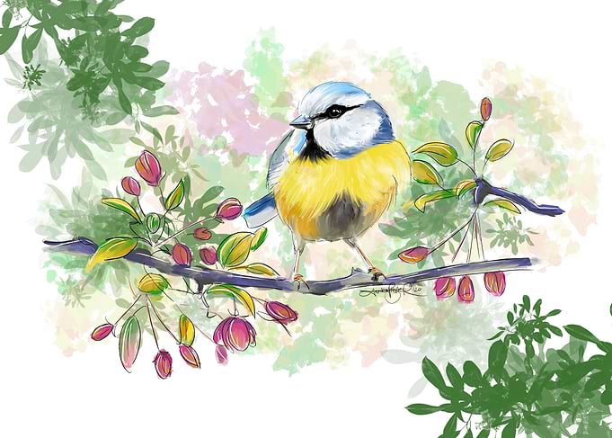 Little bird