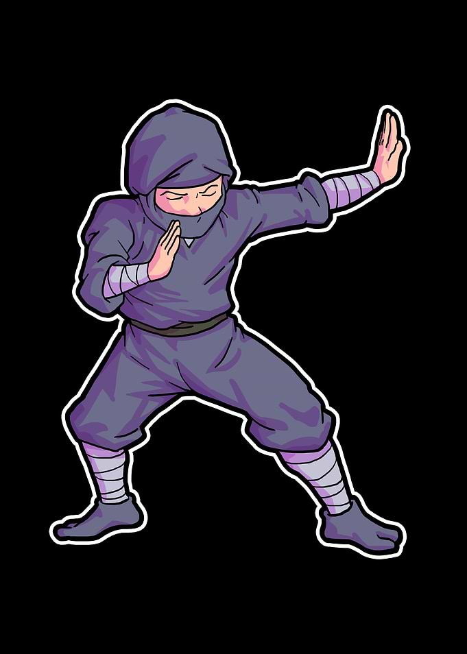 Ninja Lover