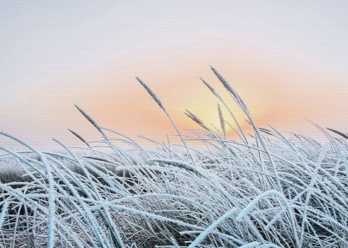 Frozen
