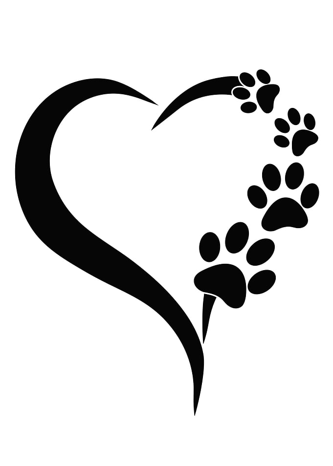 Dogs Dog Lovers Dog Paw