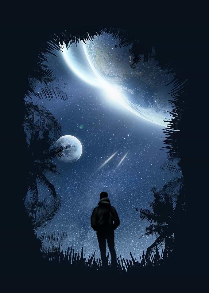 The Trip