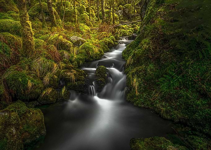 Nature