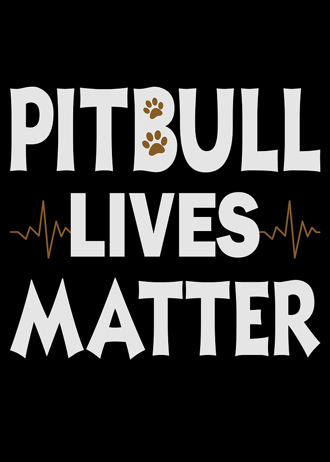 Dogs Pitbulls Pitbulls
