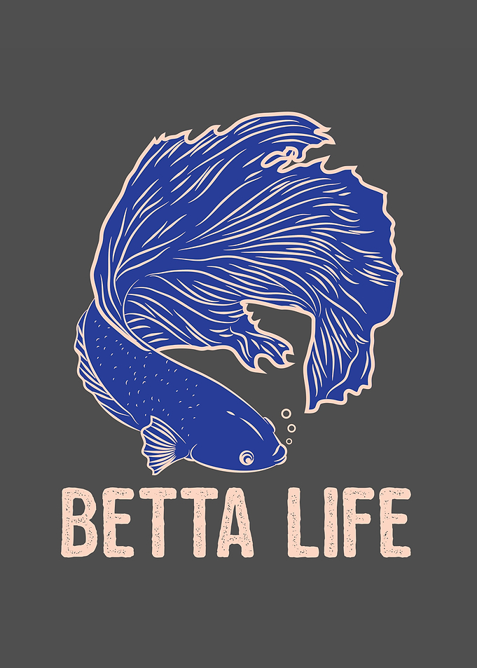 Betta Life Splendens Fight