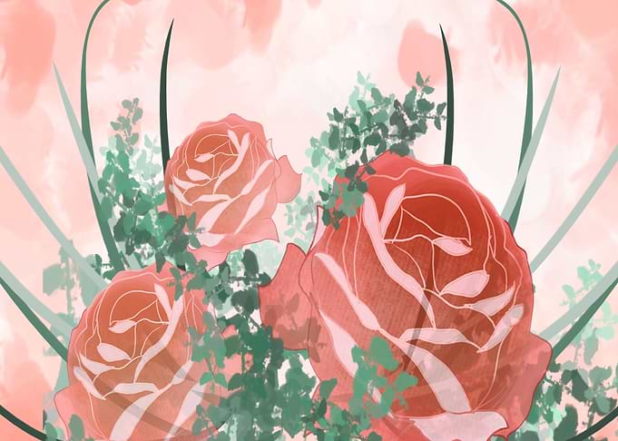 Red Roses Flowers