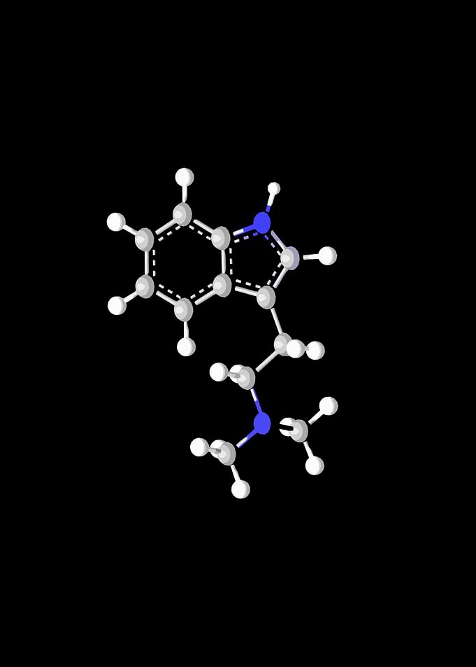 DMT