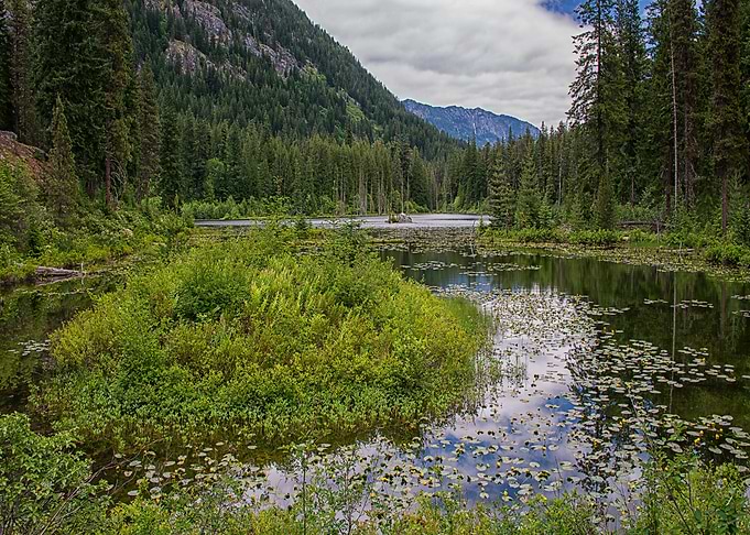 Nature