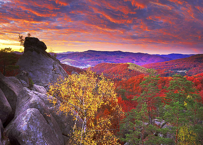 Nature