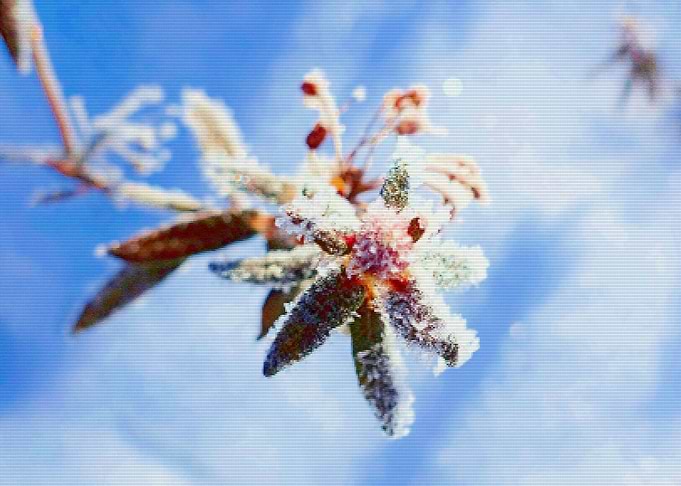 Frozen
