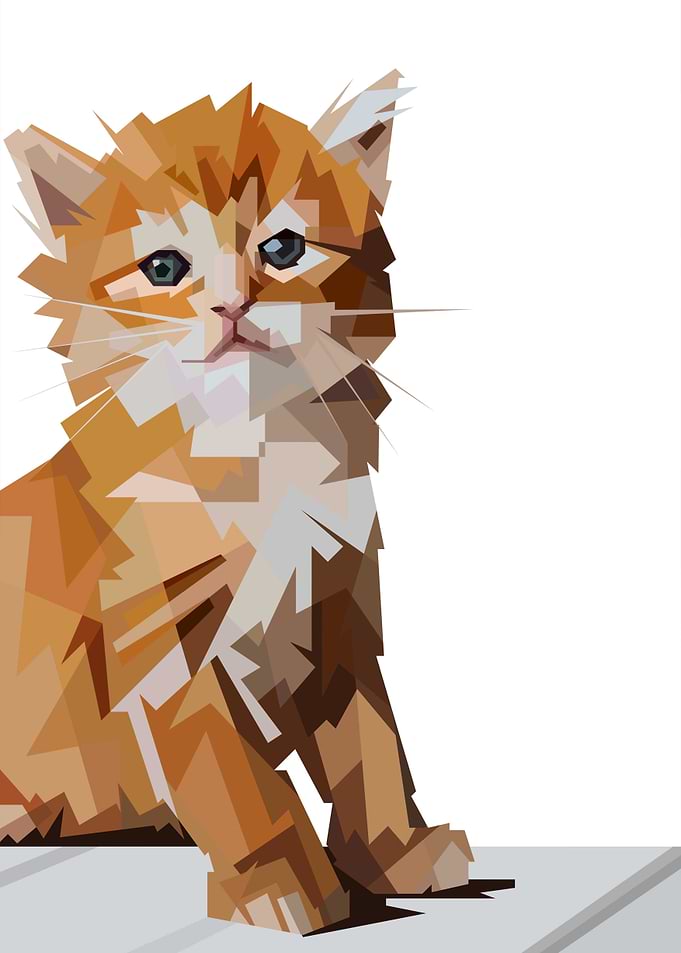 cute kitten
