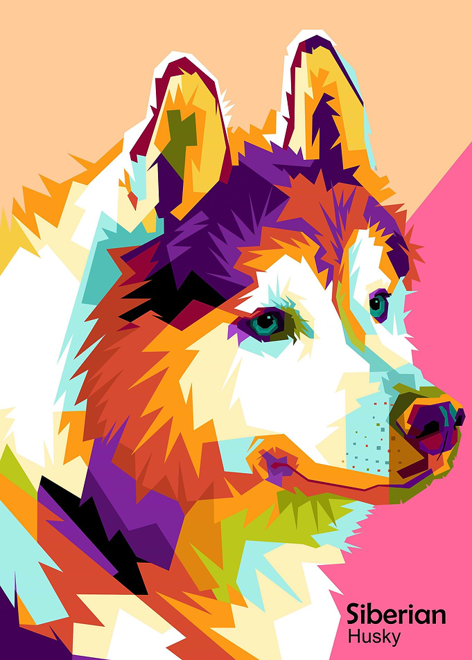Siberian husky