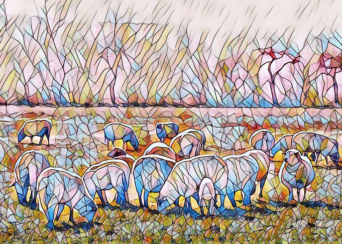 Group of sheep
