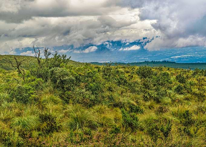 Landscape Scene Cotopaxi N