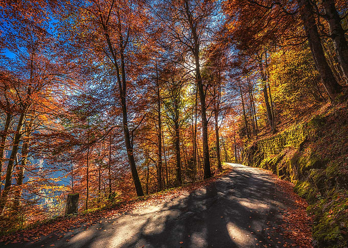 Nature
