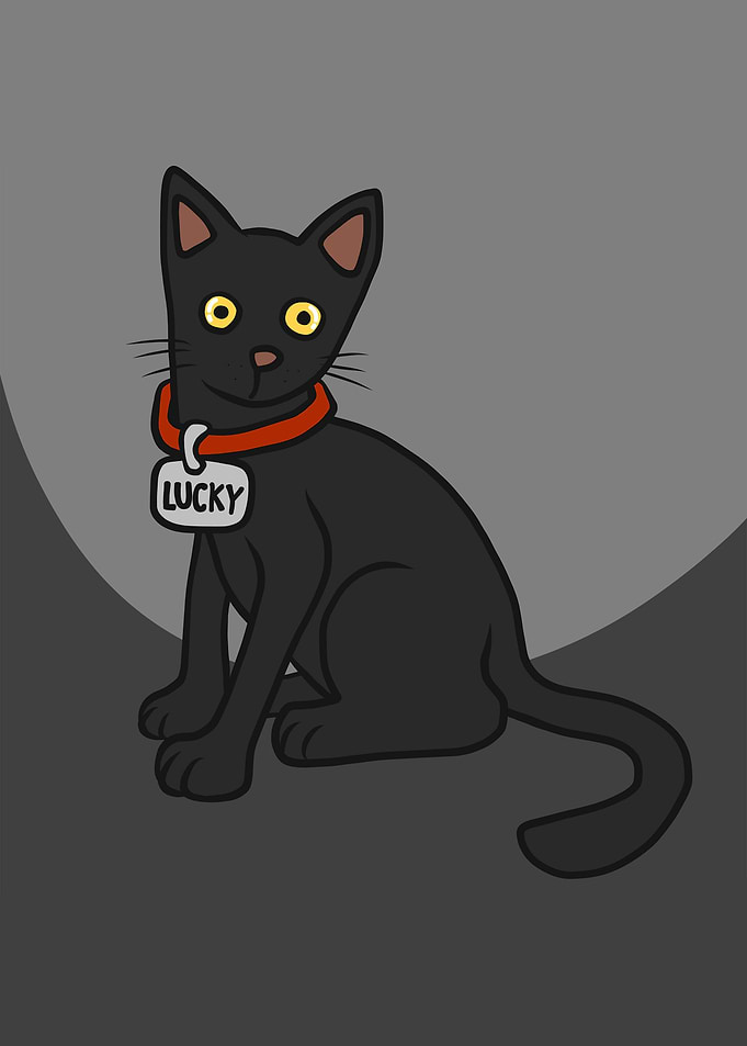 Black cat Friday 13th