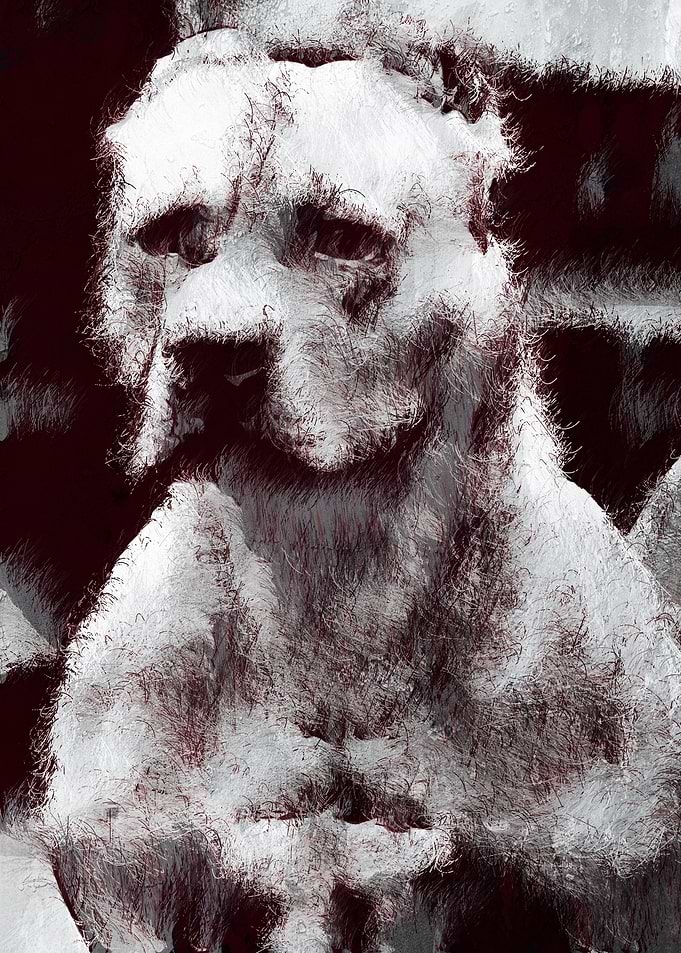 American Pit Bull Terrier