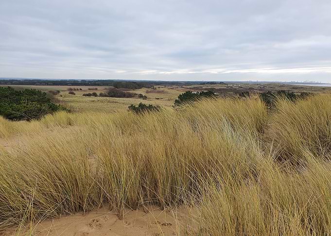 Dunes