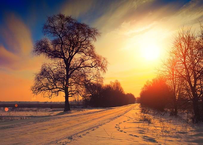 Landscape Winter Country