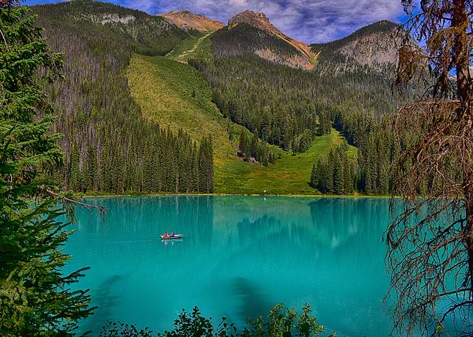 Nature
