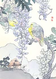 Doves On Wisteria Vine