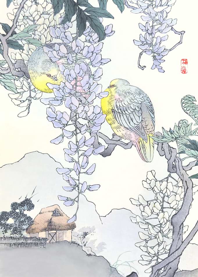 Doves On Wisteria Vine