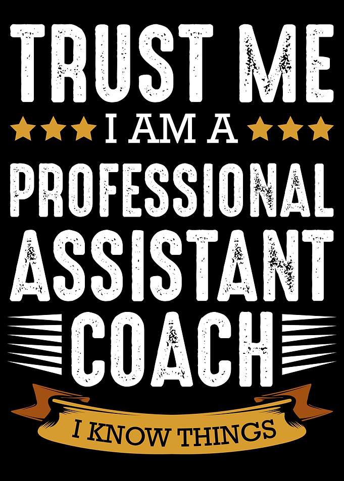 I Am A Professional Assist
