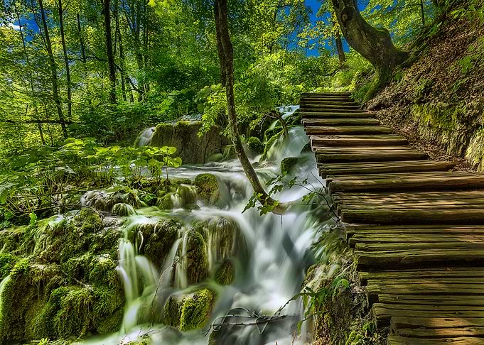Nature