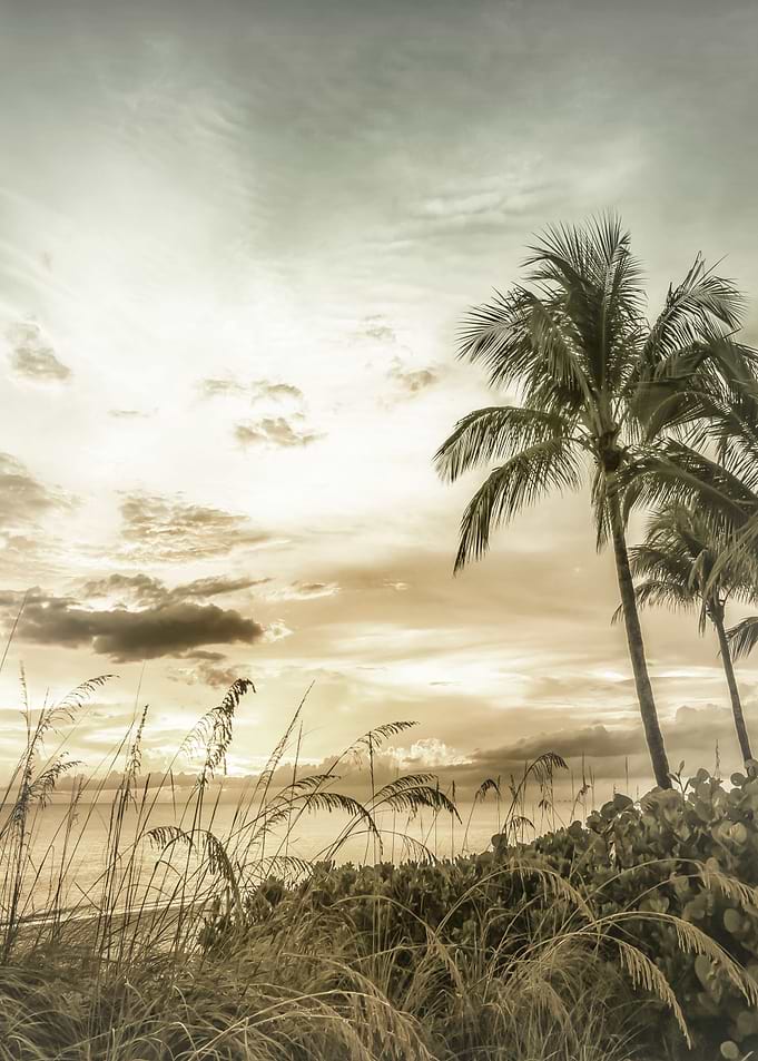 Vintage Bonita Beach