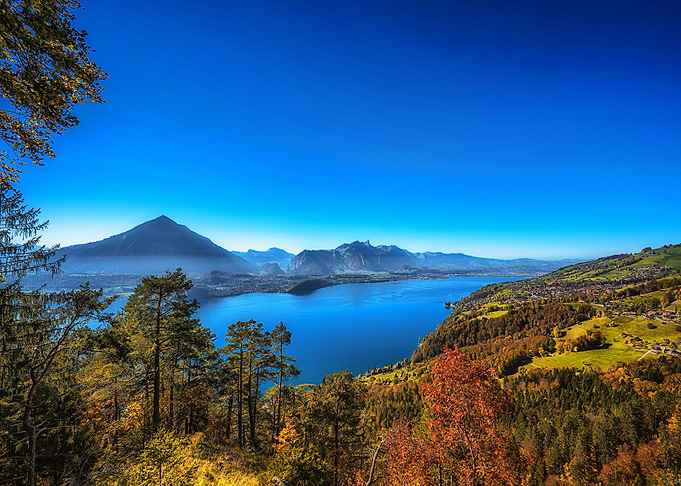 Nature