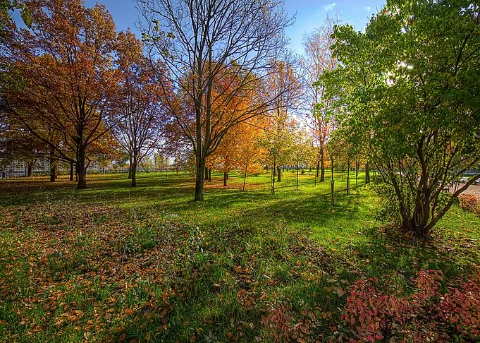 Nature