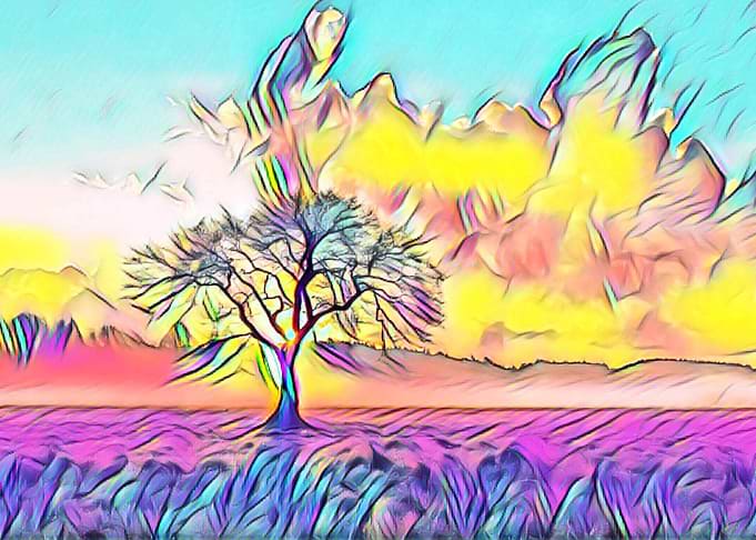 a lonely tree
