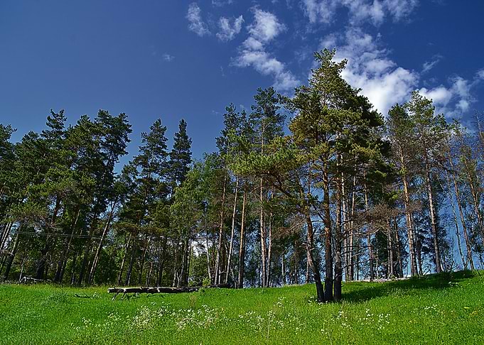 Nature