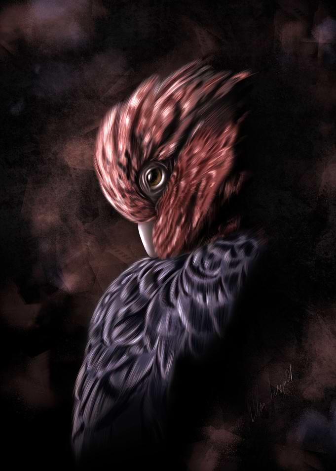 digital parrot