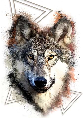 Free Wolf