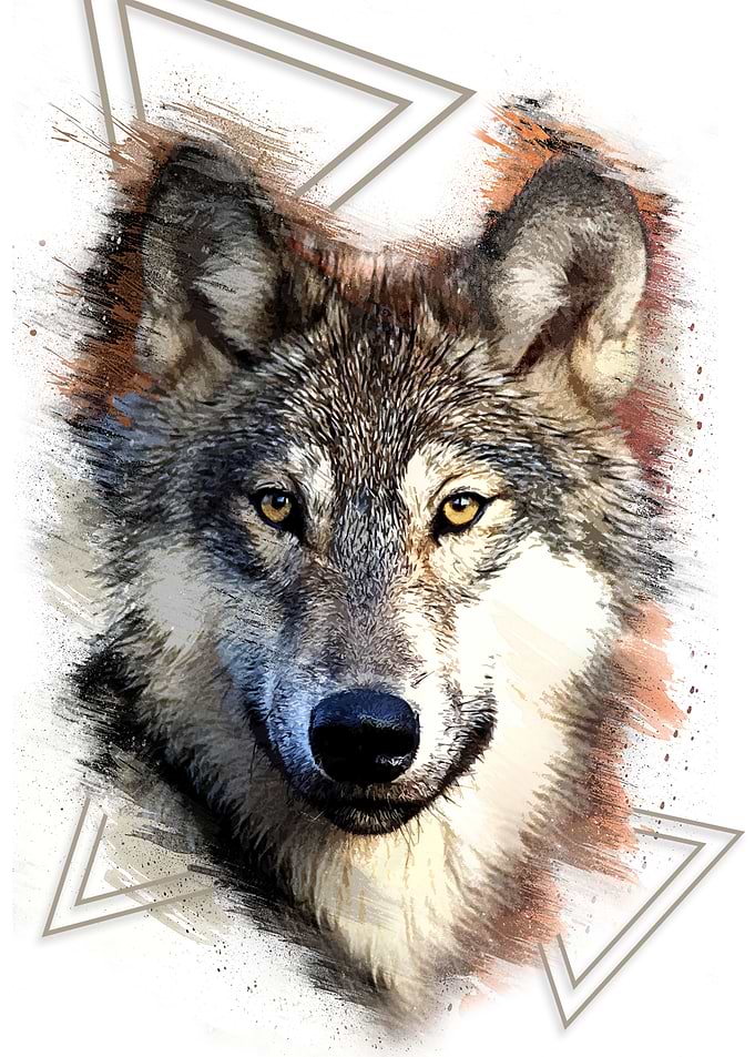 Free Wolf